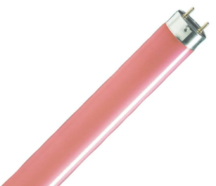 TLD 36W/014 26X1200 Pink